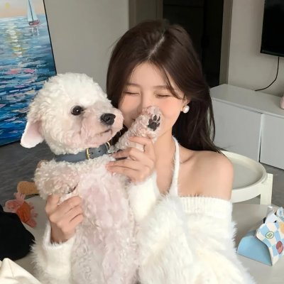节日的准备